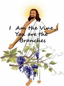 I am the Vine and you are the branches